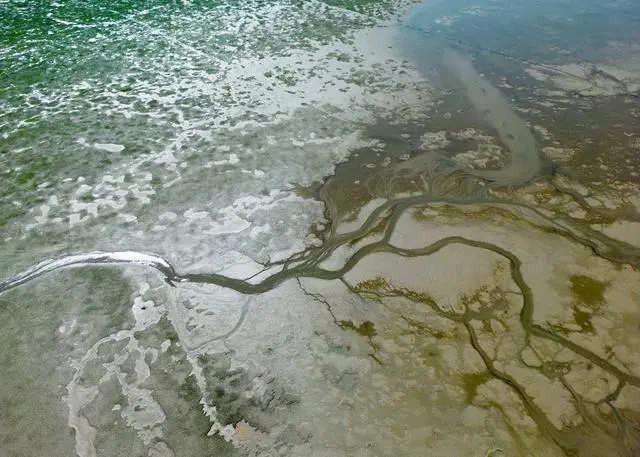 长江流域干旱！长江海运航路大幅收窄，货船减载